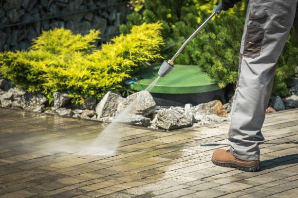 Best Sidewalk and Walkway Cleaning  in Burkburnett, TX