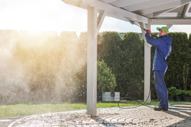 Best Soft Washing  in Burkburnett, TX